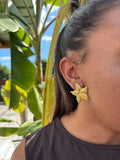 Boucles étoiles de mer