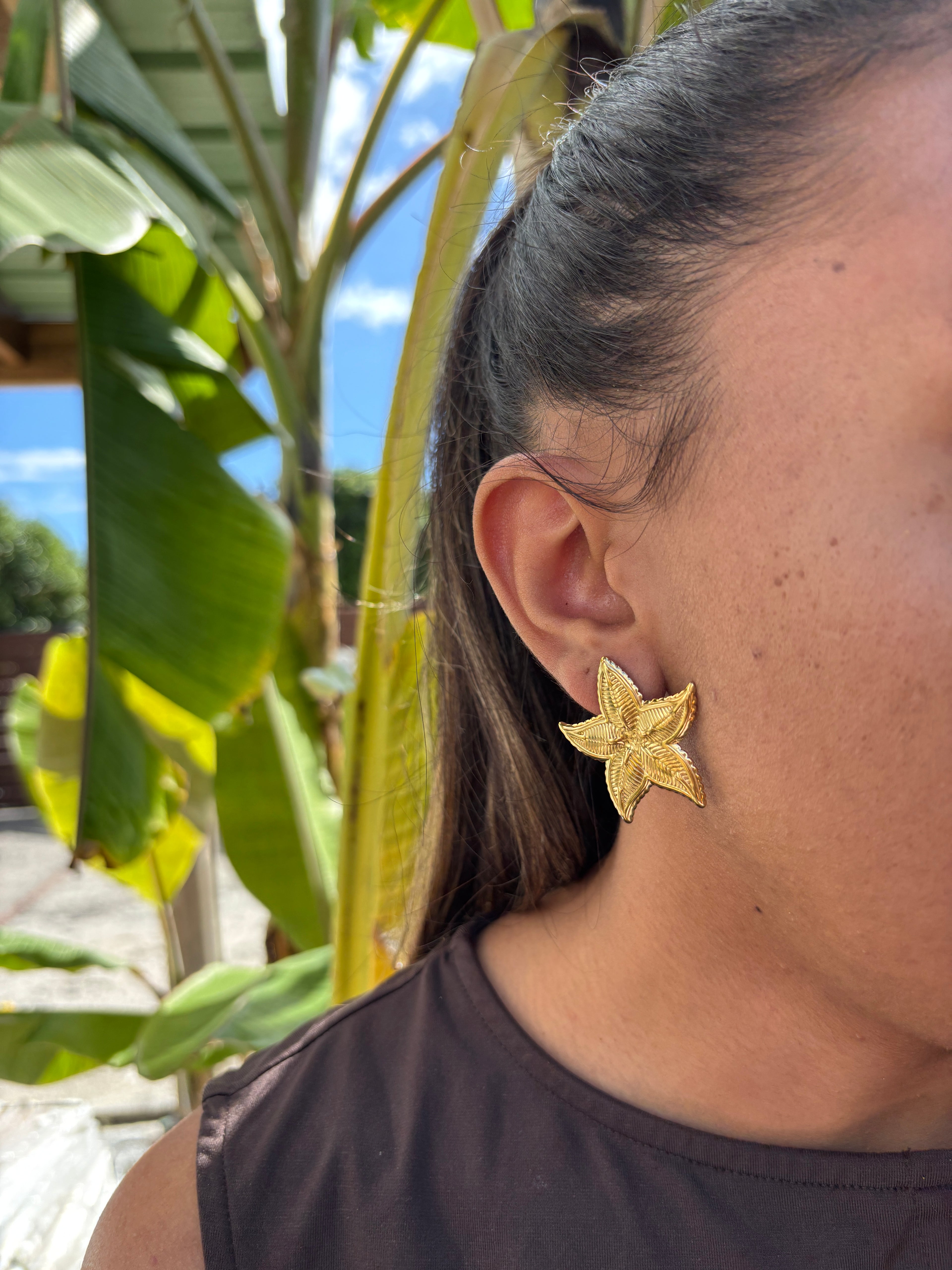 Boucles étoiles de mer