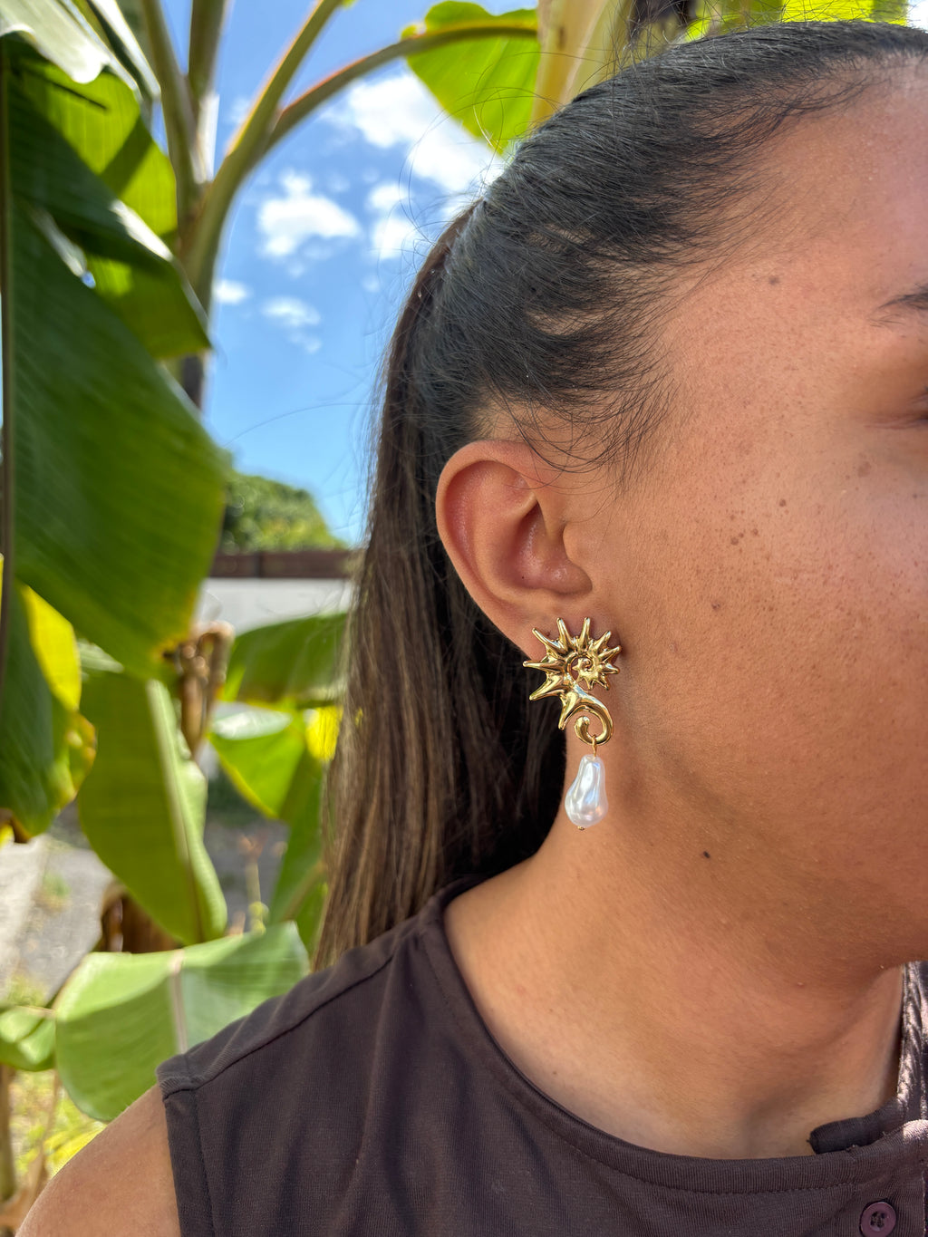 Boucles Hippocampe