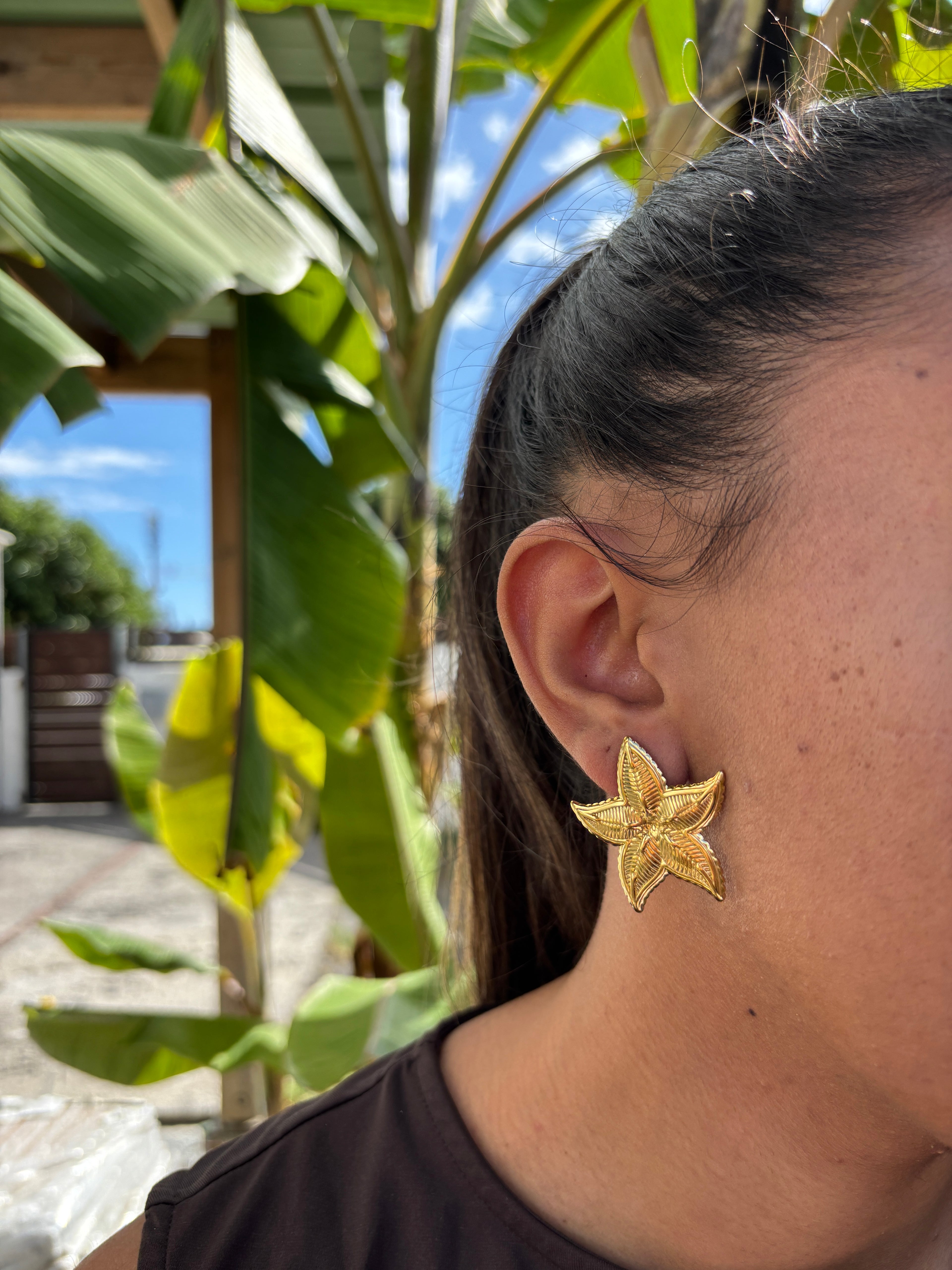 Boucles étoiles de mer