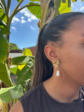 Boucles Hippocampe